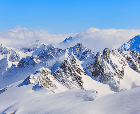 新毅控股企業(yè)宣傳網(wǎng)站