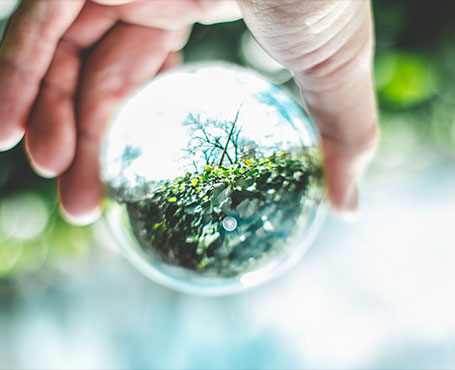 中關村節(jié)能環(huán)保專委會網站|一網天行-網站建設小程序APP系統(tǒng)軟件開發(fā)公司