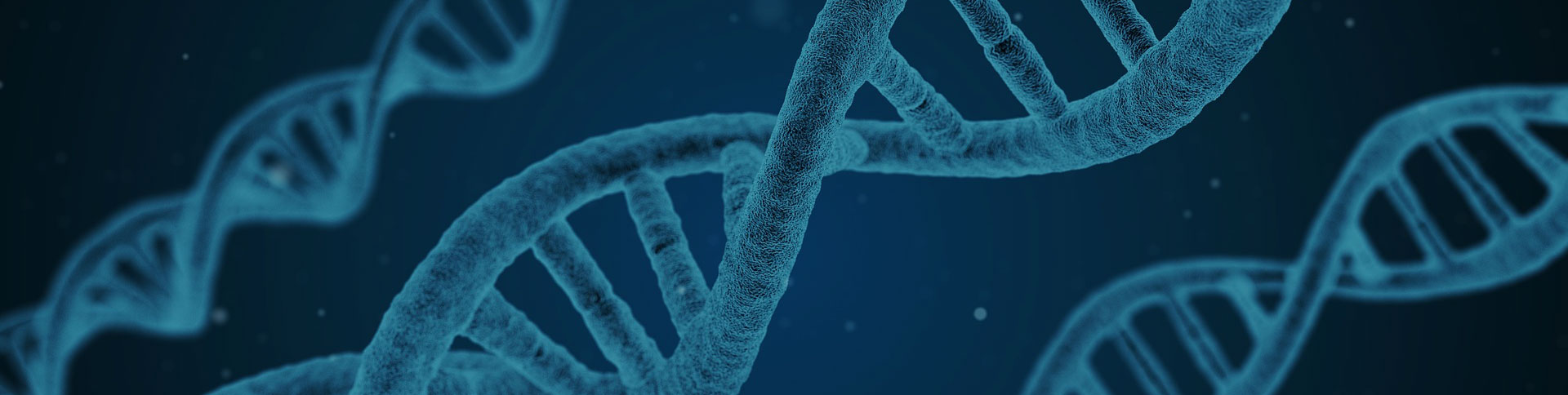 360基因官方網站|一網天行-網站建設小程序APP系統(tǒng)軟件開發(fā)公司