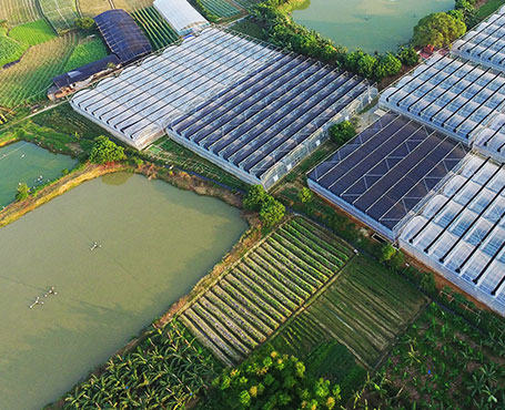 健康產(chǎn)業(yè)集團公司品牌宣傳網(wǎng)站