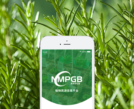 藥植所-植物資源信息平臺APP|一網天行-網站建設小程序APP系統(tǒng)軟件開發(fā)公司
